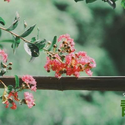 B体育登录APP下载手机app下载截图