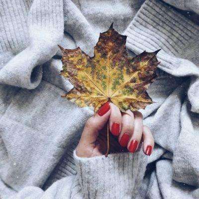 亚搏APP·官方网站