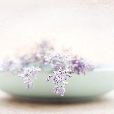 pg电子娱乐平台