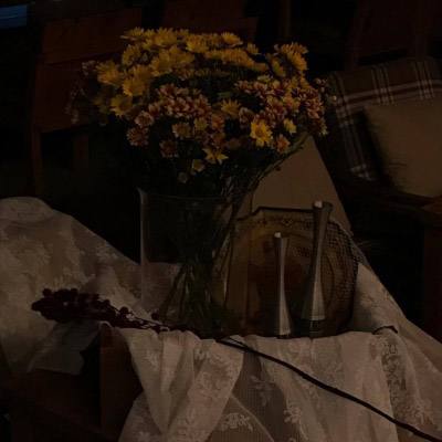 2023年香港资料精准下载手机版